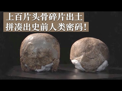 山洞之中惊现史前人类头骨 数百片头骨碎片出土 解码史前人类生活密码！《探索·发现》山洞下的史前秘密 丨 中华国宝