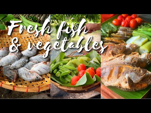 Fresh vegetables and fish for lunch | Farm life | Kusinela