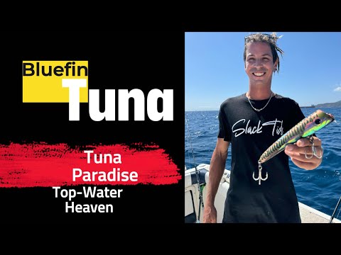 Top-Water Heaven in Gibraltar, Tuna Paradise