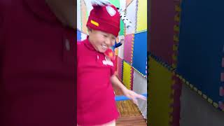 Crash Landing on Dino Island! PAW Patrol Challenge!