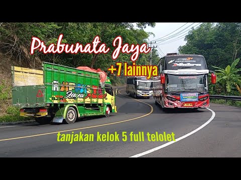 Prabunata Jaya & 7 lainnya #bus #telolet