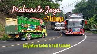 Prabunata Jaya & 7 lainnya #bus #telolet