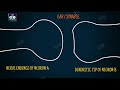 Neurons and Their Functions