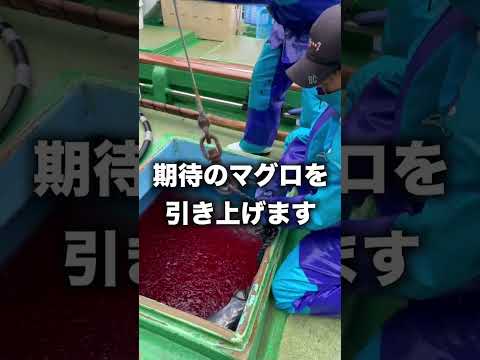 とんでもないのがとれてしまった