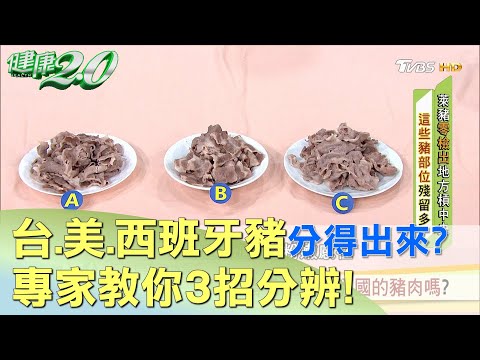 盲測台.美.西班牙豬 你吃得出哪國的豬肉嗎？ 健康2.0