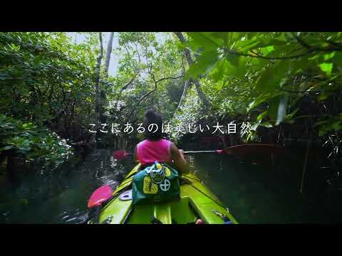 パラオ・パラダイス・アイランド