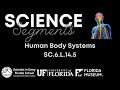 Understanding Human Body Systems