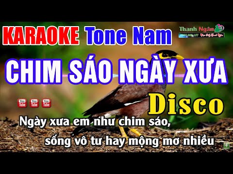 Chim Sáo Ngày Xưa Karaoke Tone Nam Disco | Nhạc Sống Thanh Ngân