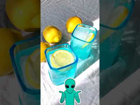 La Segunda Vida De Las Botellas De Vidrio 🤔