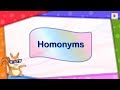Exploring Homonyms in English Grammar