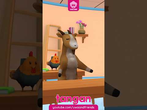 Kalau Kau Suka Hati Tepuk Tangan - Shorts - Lagu Anak Indonesia - Lagu Anak Balita