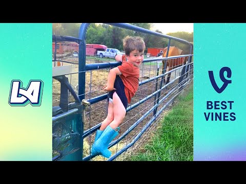 Ultimate Try Not to Laugh - Laugh at These Crazy Moments