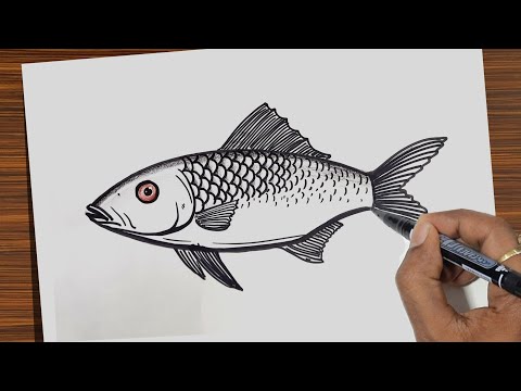 Fish Drawing Easy | how to draw fish from beginners | Drawing Skill