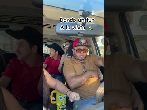 Cómo hacer un buen tur #humor #viajes