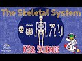 Human Skeletal System Concepts