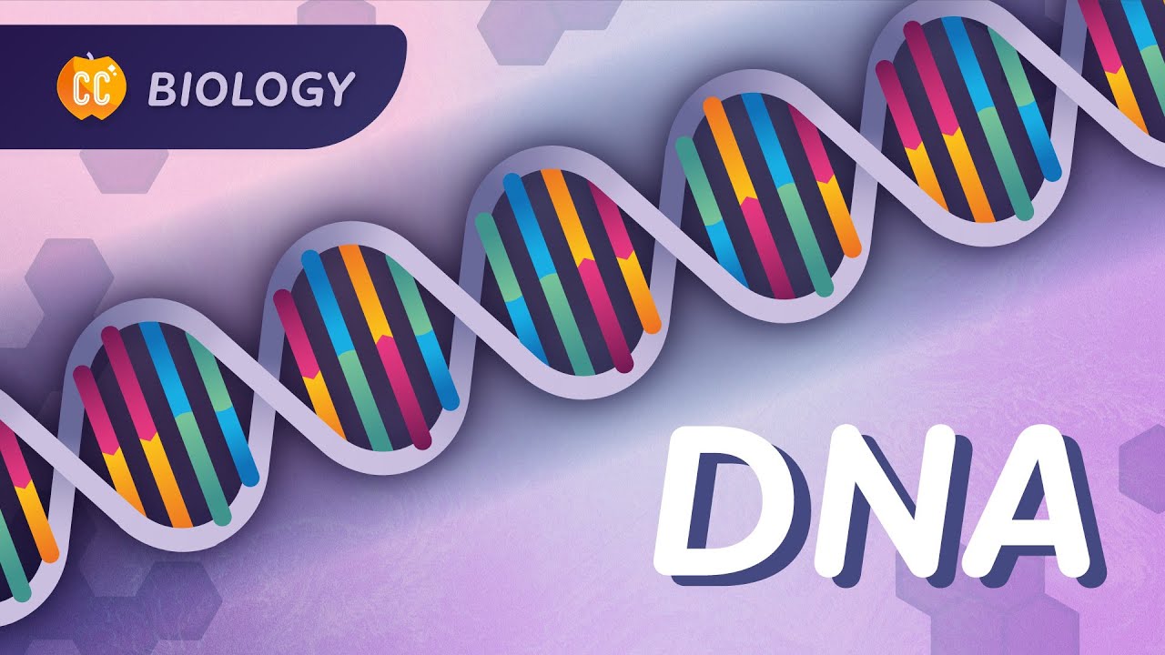Understanding DNA: The Blueprint of Life