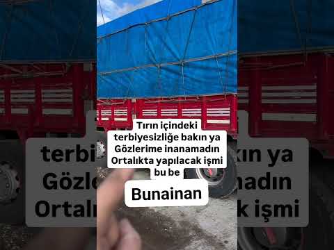 Tirci ya #2025  #bunainan  #tırcılar