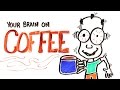 Understanding Coffee's Impact on the Brain