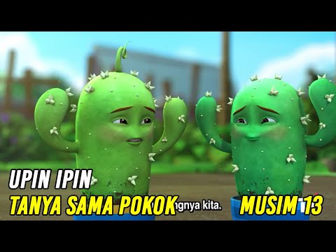 Upin & Ipin Tanya Sama Pokok Episode Terbaru 2020 | Upin Ipin Terbaru 2020 | Musim 13