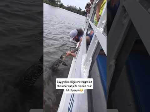 How you reacting if you were on the boat??🤔 #viralvideo #youtubeshorts VID CRED-Kat.sisco