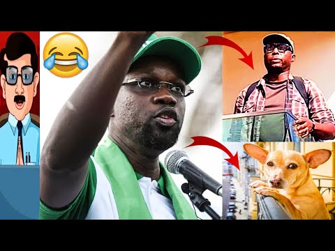 Ousmane Sonko Chez Barthelemy Dias Le Chien de Balcon