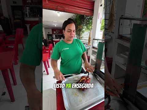 Regalando alimentos a los perritos de la calle 🥹 pt1