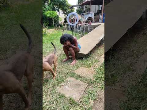 Trolei meus cachorros fingindo estar  chorando, só que não esperava isso fosse acontecer…