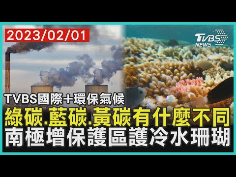 【環保氣候】綠碳.藍碳.黃碳有什麼不同 南極增保護區護冷水珊瑚｜TVBS新聞 2023.02.01@TVBSNEWS01 - YouTube