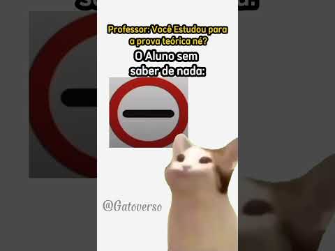 VOCÊ ACERTARIA TODAS AS PLACAS? 🤔