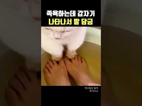 족욕하는데 갑자기 나타나서 발 담금