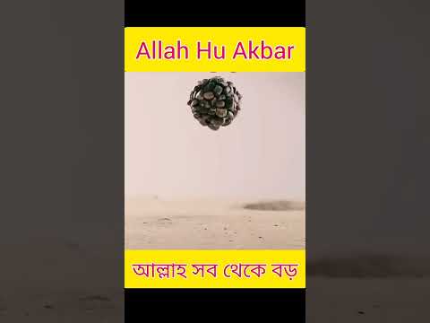 Allah Hu Akber #viral #viralvideo #viralshort #shorts #trending #foryou