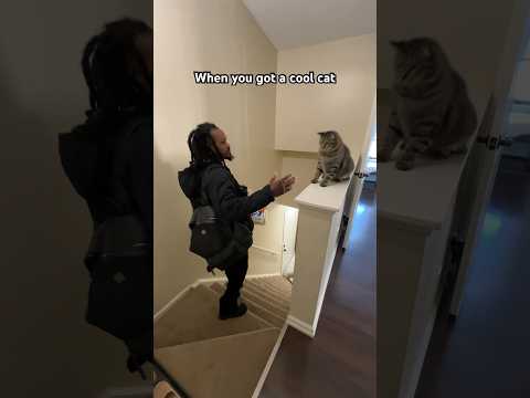 Never seen a cat do this before ￼