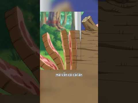 nếu trái ác quỷ có ở thế giới thực #bokin #onepiece