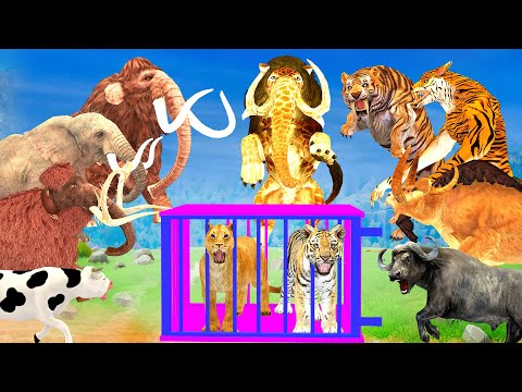 5 Giant Elephant Cow vs 5 Giant Tiger Wolf Lion Attack Lion Tiger Cub Saved by Woolly Mammoth Battle