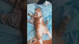 Кайфуем