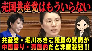 【共産党はもういらない】堀川あきこ議員の質問が中国寄り売国的だと非難殺到【高市早苗首相応援チャンネル】