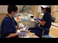 Dental Procedure Quiz