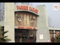 Comprensión del Incidente en el Parque Safari