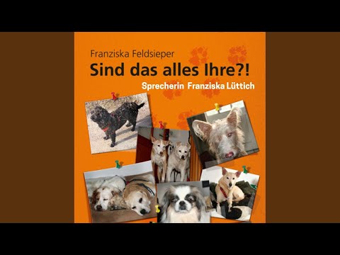 Kapitel 39 - Sind das alles Ihre?!