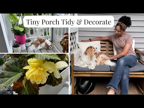 Tiny Tidy & Porch Update for 2024 | Clean With Me