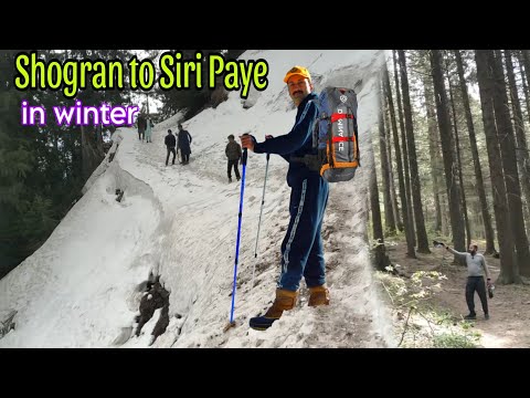 Shogran to Siri Paye Hiking through Jungle in Winter | Memorable Hiking Adventure