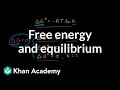 Understanding Free Energy and Equilibrium
