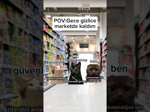 Pov:Gece gizlice marketde kaldım.