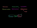 Understanding Naming Conventions