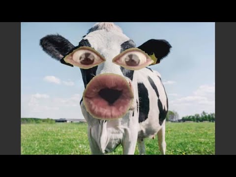 Cow Dance (Aankh Mari)