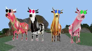 Cow Dance (Aankh Mari)