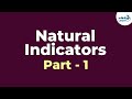Turmeric as a pH Indicator