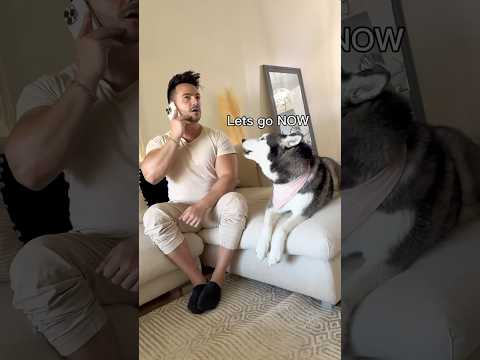 Using My Husky’s Favorite Words To See Her Reaction! 👀😳