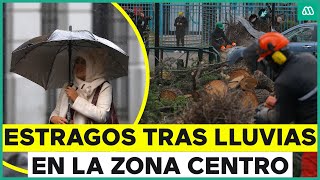 Árboles en el suelo y autos destruidos: Así fue la jornada de lluvia en la zona centro