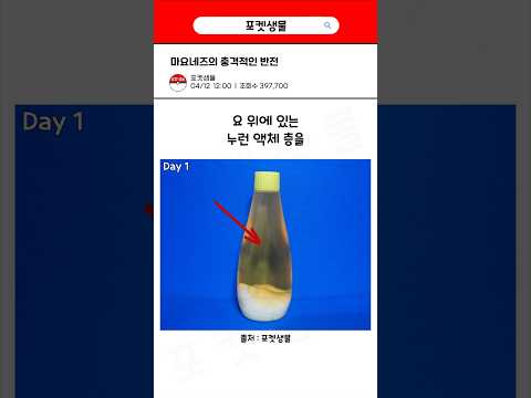 마요네즈의 충격적인 반전
